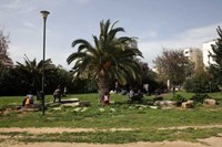 Επεσαν οι υπογραφές για δημιουργία εμπορ...