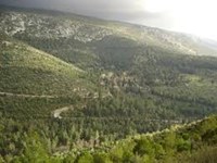 «Παράθυρο» για νομιμοποίηση αυθαιρέτων σ...