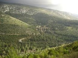 «Παράθυρο» για νομιμοποίηση αυθαιρέτων στον Υμηττό