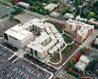 How A Giant Mall Parking Lot Turned Into...