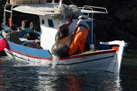 Ενίσχυση σχεδίων στη μεταποίηση και εμπο...