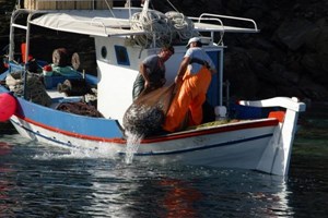 Ενίσχυση σχεδίων στη μεταποίηση και εμπορία αλιευτικών προϊόντων