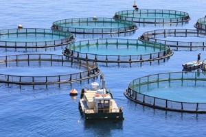 Χρηματοδότηση καινοτόμων επενδυτικών σχεδίων σε αλιεία και υδατοκαλλιέργειες