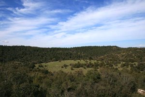 H Πάρνηθα κερδίζει τη μάχη πρασίνου