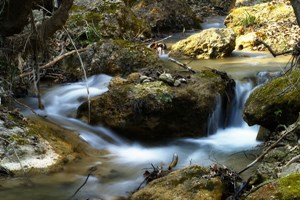 Βροχή τροπολογιών στο νομοσχέδιο για τα ρέματα