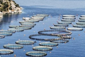 Χρηματοδότηση καινοτόμων επενδυτικών σχεδίων στην αλιεία και τις υδατοκαλλιέργειες